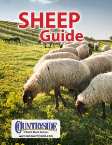 Sheep Guide Cover